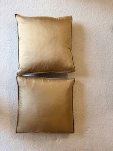 Pair of 18x18 Satin Throw Pillows with Stains