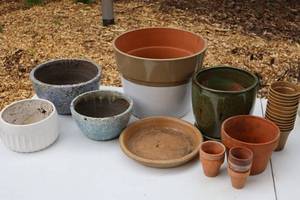 Mixed Flower Pots