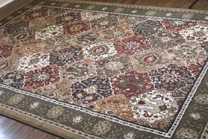 Traditional Medallion Area Rug 7.5 x 5.5