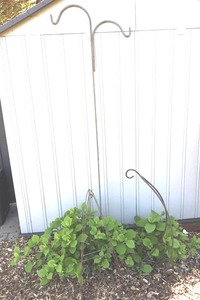 Plant Stand Set (Lot of 3)
