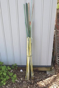 Bundle of Garden Stakes