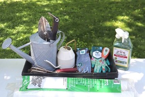 Gardening Assortment With Watering Cans, Gloves, Tree Guards & Tools