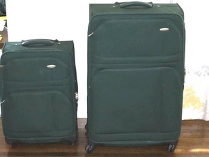 Dark Green Rolling Luggage Set (2 Pieces)