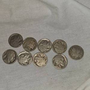 Lot of 8 Buffalo, 1V Nickels, 5c