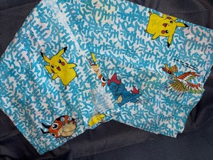 Vintage 1998 Pokemon twin flat sheet