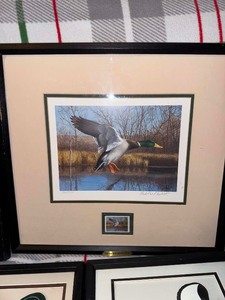 Lot of limited edition wildlife prints
