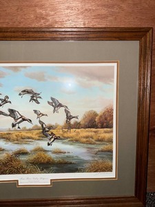 Framed print of ducks