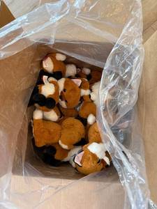 Plush n Rush Fox Plush Stuffed Animal Lot of 20 Tagged Orange White