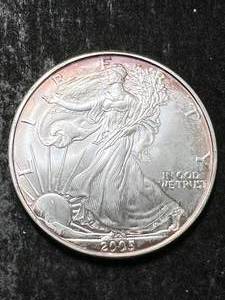 2005 AMERICAN SILVER EAGLE 1 TROY OZ .999 FINE SILVER