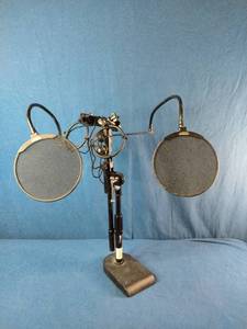 Golden Age Project P2 or similar Stedman Proscreen metal mesh pop filter with a dual-gooseneck setup.