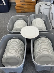 10 Dinner Plates