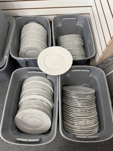 10 Dinner Plates