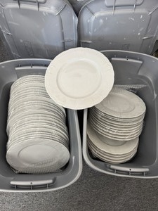 10 Dinner Plates