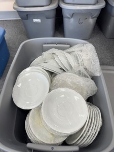 Saucer Plates