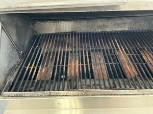 Large Gas Grill