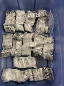 Silverware- SPOONS