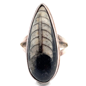 Vintage Sterling Silver Fossil Orthoceras Statement Ring VIDEO