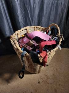 Mixed Lot of Assorted Belts