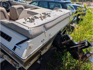 1987 Sea Ray 19FT