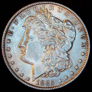 AU 1885-P Morgan Silver Dollar, Original Surfaces