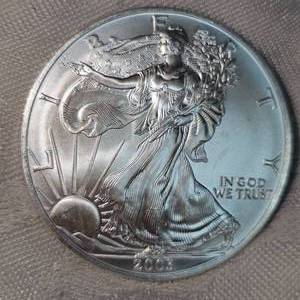 2005 American Silver Eagle, UNC