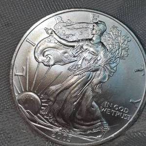 2004 American Silver Eagle, UNC