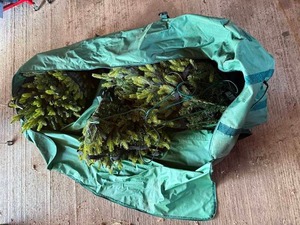 Pre-Lit Artificial Christmas Tree in Storage Bag