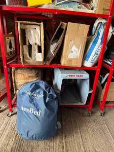 Mixed Holiday Decor, Petmate Pet Taxi Carrier & Imaginair AeroBed Mixed Lot