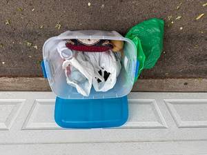 Christmas Holiday Decor Assortment in Storage Tote