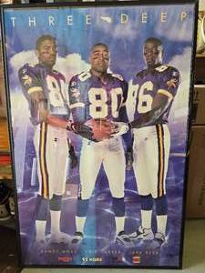 Vikings Poster Framed