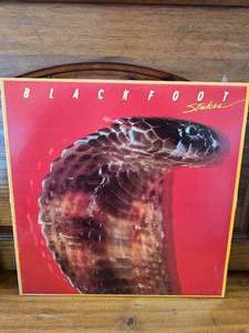 Blackfoot Strikes Record