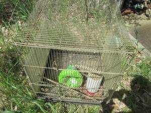 Metal wire bird cage with accessori...