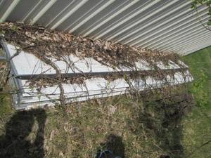 12ft wide Semi- Insulated overhead ...