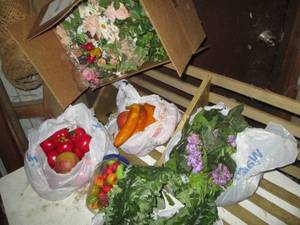 Large quantity of assorted faux fru...