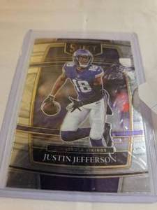 Adrian Peterson