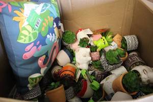 Huge lot of artificial succulents a...