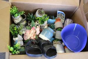 Huge lot of artificial plants, succ...