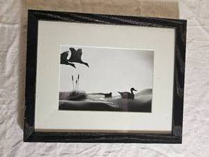 Allan I. Teger Bodyscapes Series - Geese - Singed &amp Numbered 81500