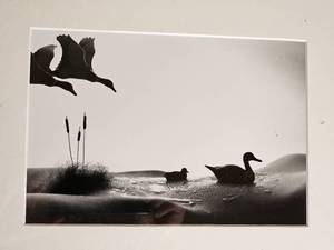 Allan I. Teger Bodyscapes Series Art Print - Geese - Signed & Numbered 81500