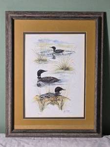 SIGNED Jean Haefele Three Common Loons Naturalist Print