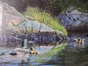 ARTIST PROOFSIGNED Fine Art Naturalist Print - Jim Kasper - Common Loon and Loonlets