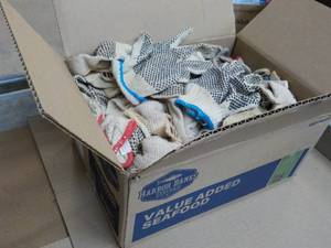 Box of Cotton Work Gloves...