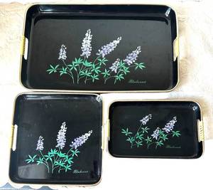 BR1 - Bluebonnet Plastic Serving Tray Set (Lot of 3)