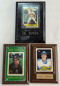 (3) Baseball Card Plaques - Ripke, Randy Johnson, Canseco