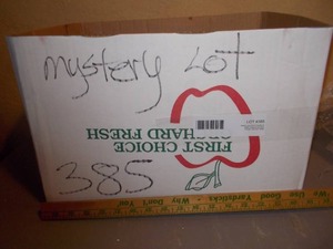 Mystery Lot Box #385