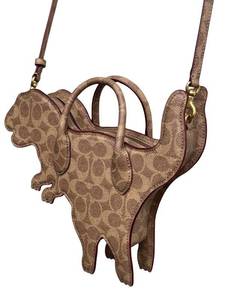 Coach Rexy Signature Canvas Crossbody Bag