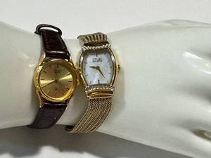 Citizen Watch Pair (Lot of 2)