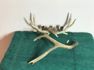 Imitation Deer Horns - One is a Candle Holder and the other is a cribbage board