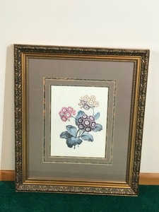 Framed Picture of Flowers