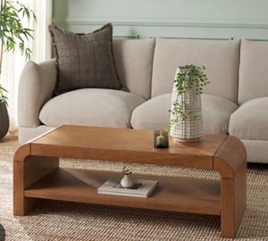 Avivan 1 Shelf Coffee Table